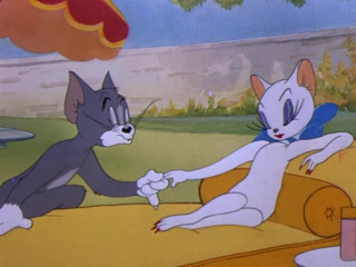tom and jerry. 23 series. tom fell in love