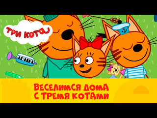 watching at home: three cats on ctc teens (episodes 21-30)