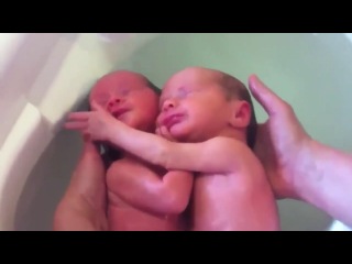 the twins have not yet realized that they have already been born