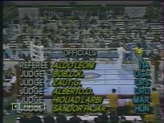 1988 olympics final roy jones jr park si hong